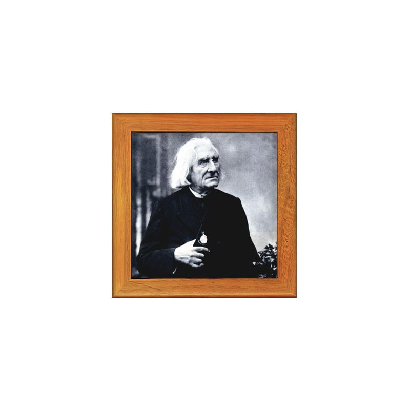 Dessous de plat : Photo de Liszt