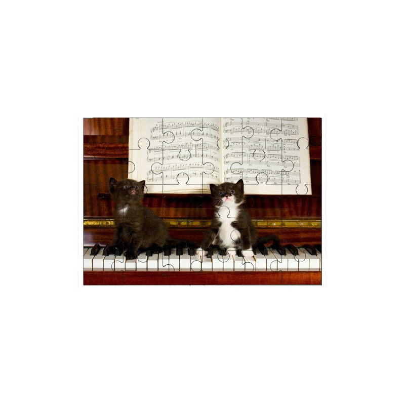 Puzzle en bois 30 pièces : 2 chatons sur un piano