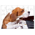 Puzzle en bois 30 pièces : Chien pianiste