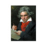 Puzzle en bois 30 pièces : Beethoven