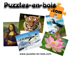 Puzzles en bois